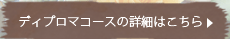 ディプロマコースの詳細はこちら